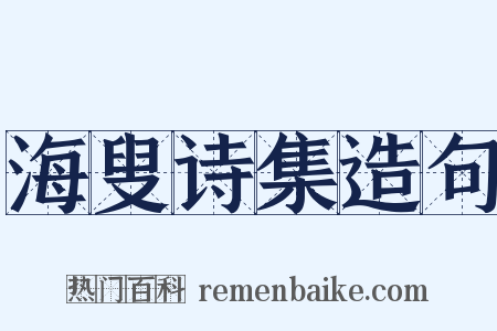 海叟诗集造句是什么意思的图片